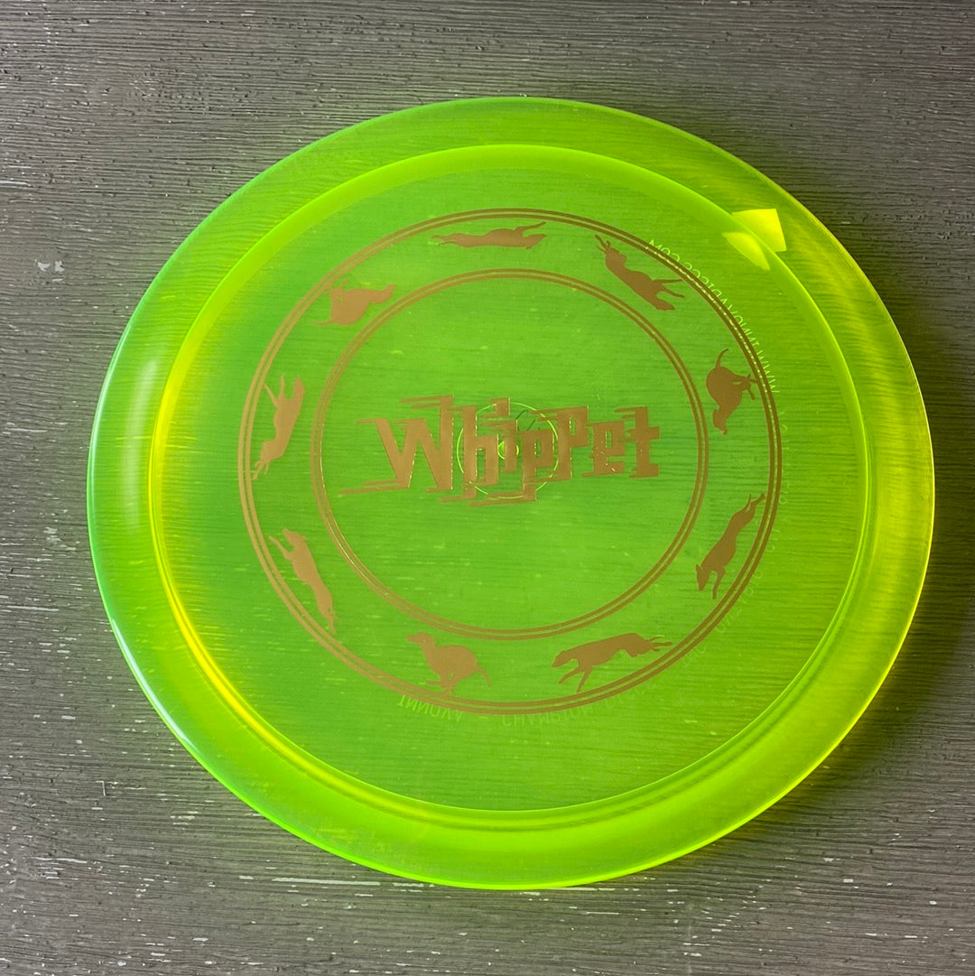 New Innova Champion Whippet
