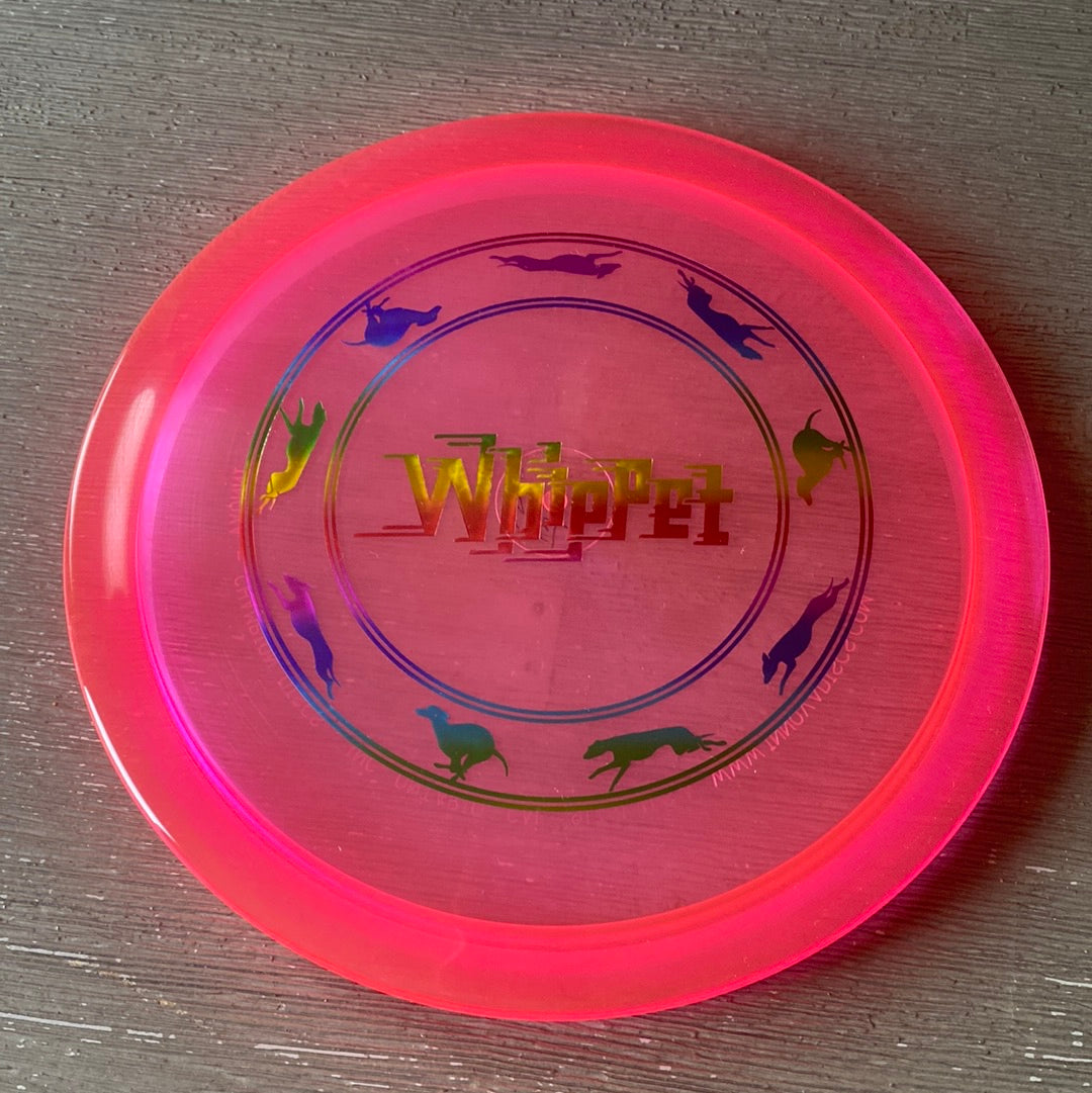New Innova Champion Whippet