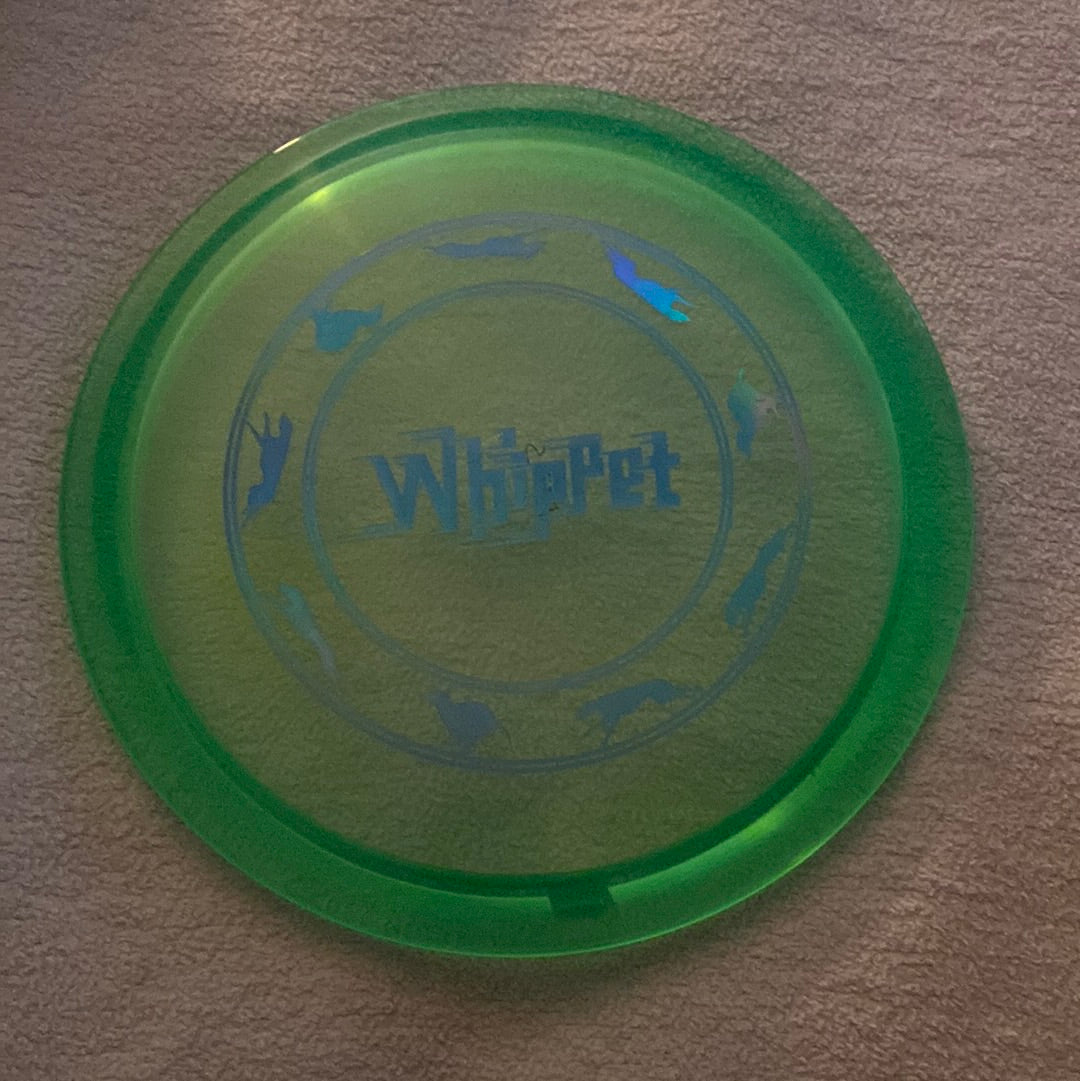 New Innova Champion Whippet