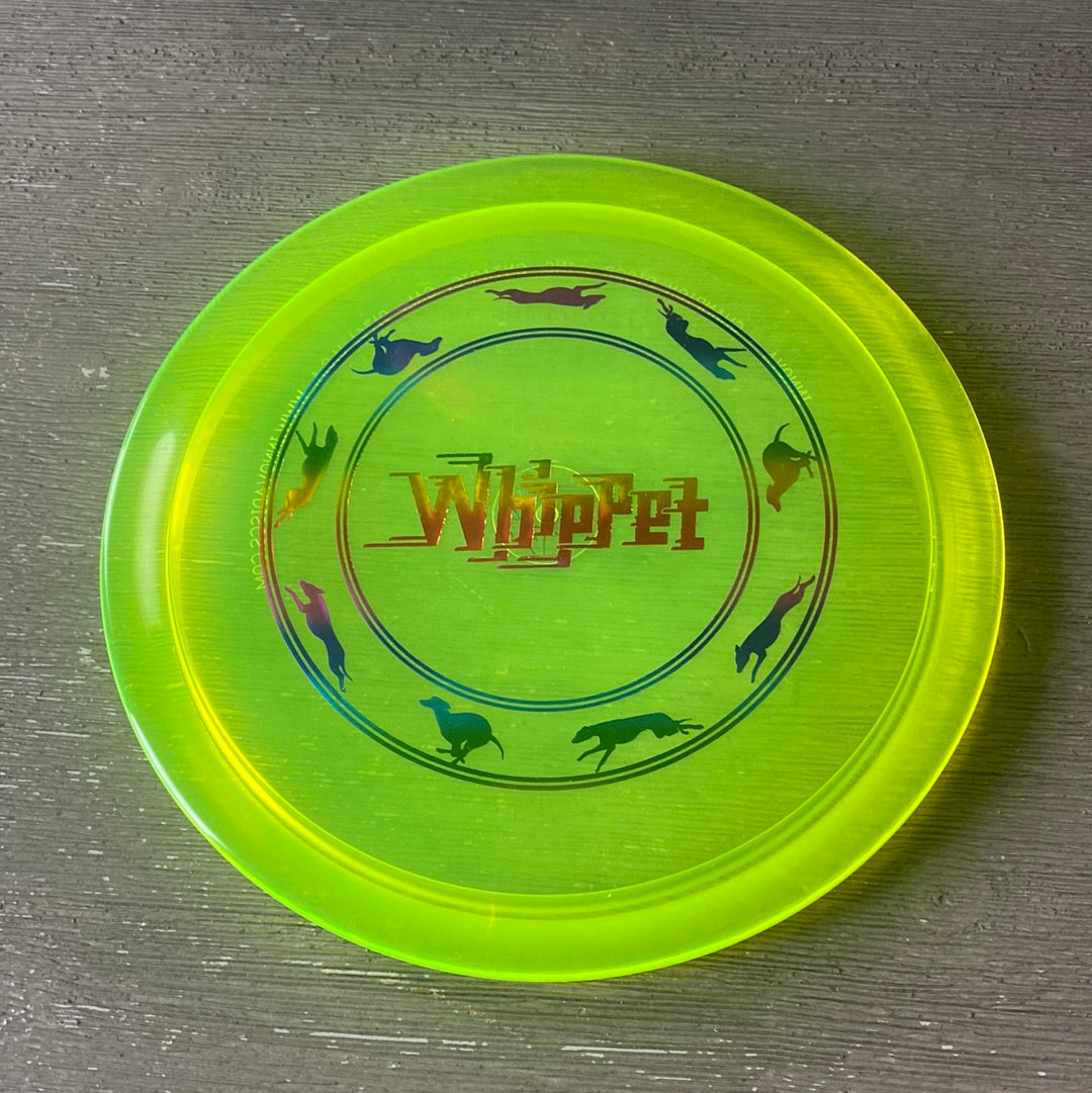 New Innova Champion Whippet